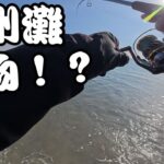 【遠州灘＆浜名湖】12月中旬にあちこちで釣りしてきたのでまとめました