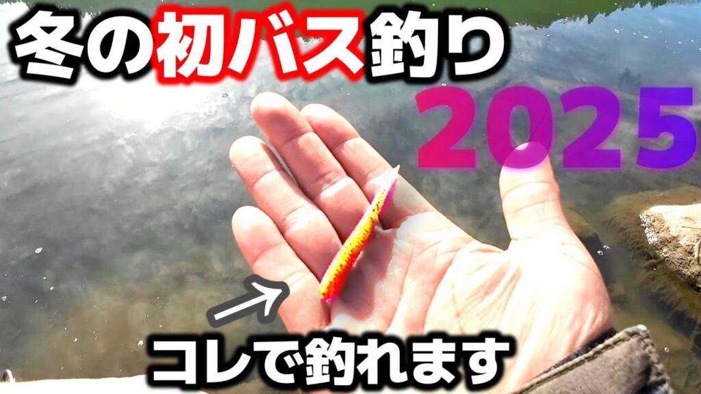 1月、初バス釣れる釣り方とワームはコレが絶対王者でした【バス釣り】【2月】【冬】【スモールマウスバス】