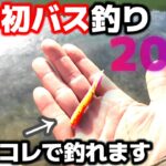1月、初バス釣れる釣り方とワームはコレが絶対王者でした【バス釣り】【2月】【冬】【スモールマウスバス】