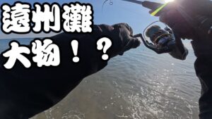 【遠州灘&浜名湖】12月中旬にあちこちで釣りしてきたのでまとめました