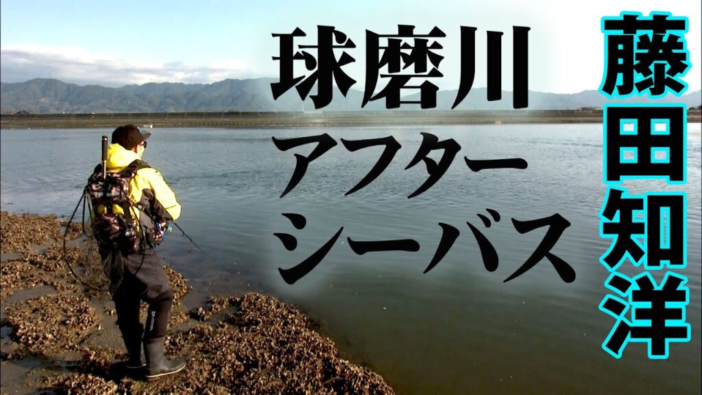 球磨川のアフターシーバスを攻略 1/2 『Dz SALT 114 藤田知洋×熊本県球磨川・真冬のアフターシーバスゲーム』【釣りビジョン】その①