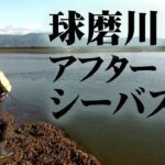 球磨川のアフターシーバスを攻略 1/2 『Dz SALT 114 藤田知洋×熊本県球磨川・真冬のアフターシーバスゲーム』【釣りビジョン】その①