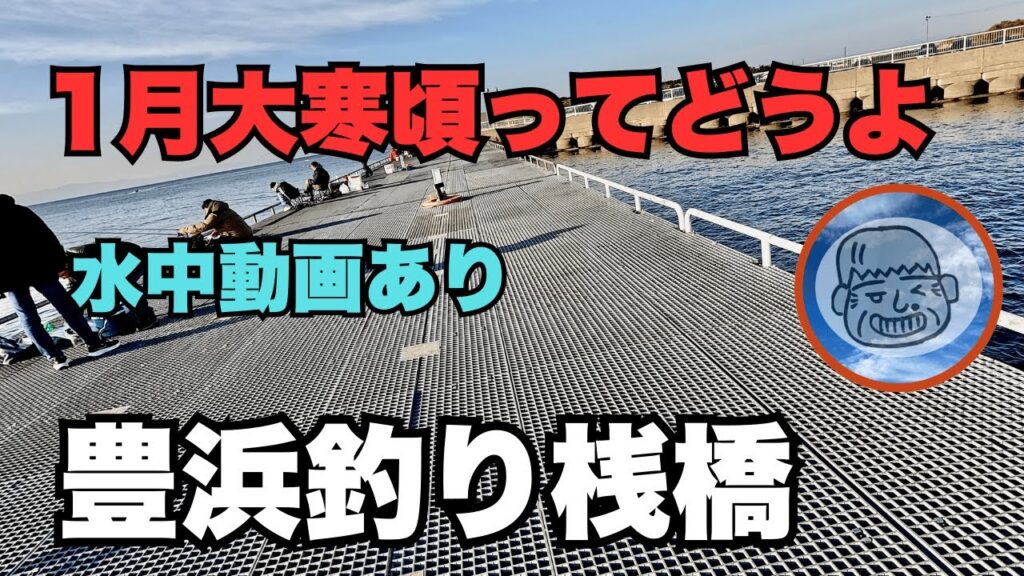 豊浜釣り桟橋　1月の大寒頃ってどうよ！ファミリー初心者向け情報　2025.1.19