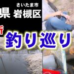 1/23小物釣りYouTuberが釣果に困って行く3ヶ所【埼玉県さいたま市】Fishing Girl | Best Fishing Video