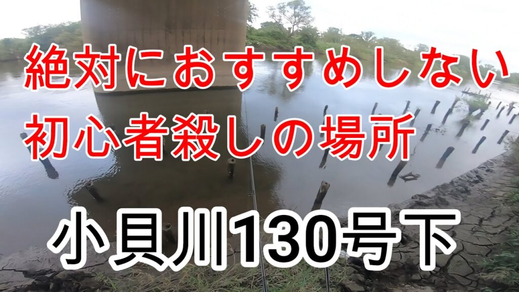バス釣り 小貝川 130号下　古利根沼（初心者には絶対におすすめしない初心者殺しの場所）【#７釣りデビュー６日目の初心者】