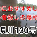 バス釣り 小貝川 130号下　古利根沼（初心者には絶対におすすめしない初心者殺しの場所）【#７釣りデビュー６日目の初心者】