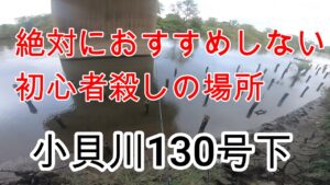 バス釣り 小貝川 130号下　古利根沼（初心者には絶対におすすめしない初心者殺しの場所）【#７釣りデビュー６日目の初心者】