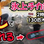 【北海道】【氷上釣り】２時間で130匹オーバー氷上チカ釣り