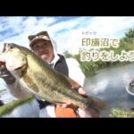 印旛沼で釣りをしよう（2018/7/23）佐倉市