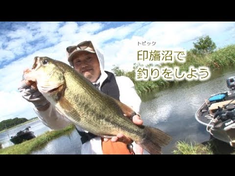 印旛沼で釣りをしよう（2018/7/23）佐倉市