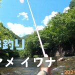 ６月 【渓流釣り】【ヤマメ イワナ】私の ウキ釣りの仕方 2021