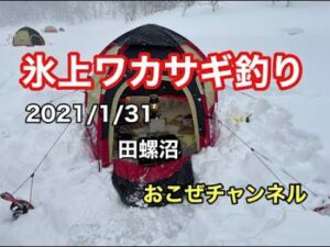 氷上ワカサギ釣り 田螺沼 2021/1/31