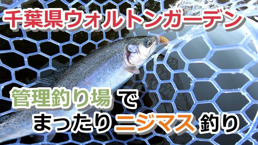 千葉県ウォルトンガーデン 管理釣り場でまったりニジマス釣り【エリアトラウト】【2022年1月4日】