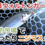 千葉県ウォルトンガーデン 管理釣り場でまったりニジマス釣り【エリアトラウト】【2022年1月4日】