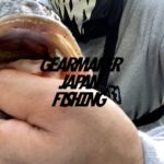 【多々良沼】 バス釣り 2022年7月末