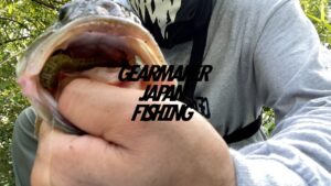 【多々良沼】 バス釣り 2022年7月末