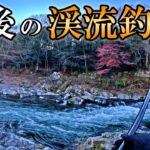 多摩川は最後もやってくれるぜ！2024年ラスト渓流釣り！