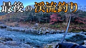 多摩川は最後もやってくれるぜ!2024年ラスト渓流釣り!