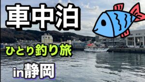 カマスと青物の期待して不安が交錯する釣り旅【静岡編】2024.12