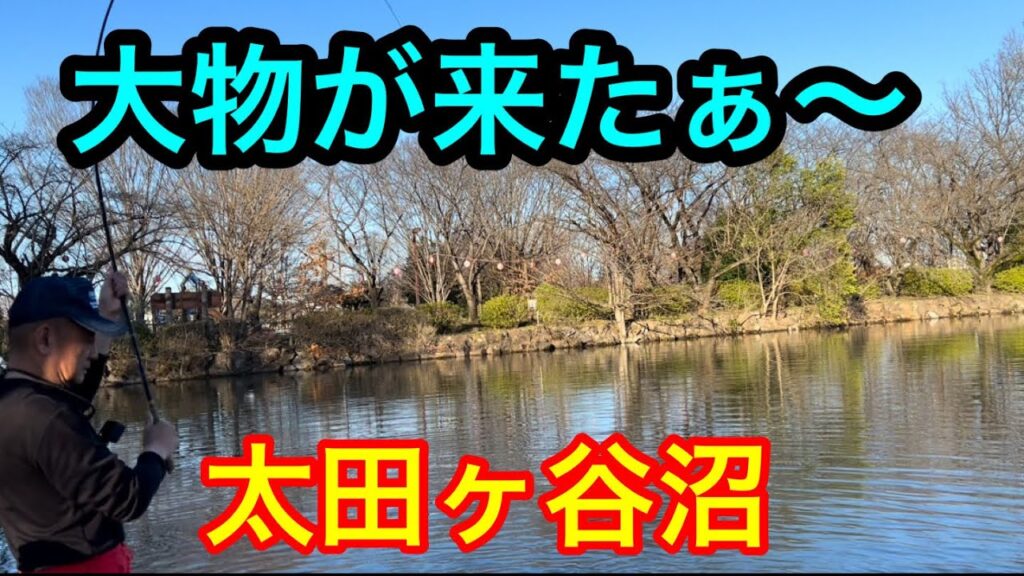大物が来たぁ〜【太田ヶ谷沼】2024.3.29