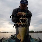 【多々良沼】 バス釣り 2024年11月中旬  レベルバイブビッグ 　年内最後の50UP