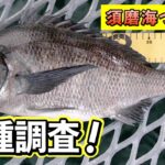海釣り公園は魚種豊富！手軽にいろんな魚を釣ろう！（四季の釣り/2024年12月20日放送）