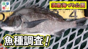 海釣り公園は魚種豊富!手軽にいろんな魚を釣ろう!(四季の釣り/2024年12月20日放送)