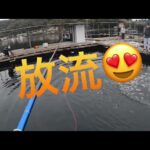 【海上釣堀】2024年12月26日            和光　年内納竿釣行