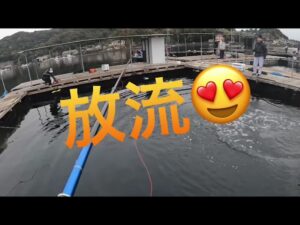 【海上釣堀】2024年12月26日            和光　年内納竿釣行