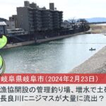 【岐阜県岐阜市】漁協開設の管理釣り場、増水で土砂がながされ長良川にニジマスが大量に流出？（2024年2月23日）