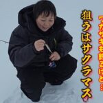 【釣り】2025年 糠平湖　氷上サクラマス　ワカサギ釣り    #ごぼう虫 #北海道釣り #氷上釣り #ワカサギ #サクラマス  #泳がせ釣り