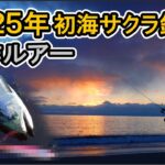 【 2025年 】新作ルアーを駆使した 海サクラマス釣行