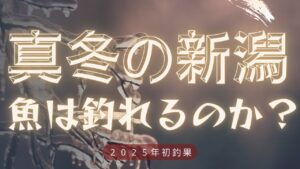 【新潟釣り】2025年真冬の初釣果!寒さに耐えて結果を出す!しょぼいけど!