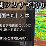 【ワカサギ釣り】ワカサギに賭けた男たち2025【桧原湖】民宿ひばら