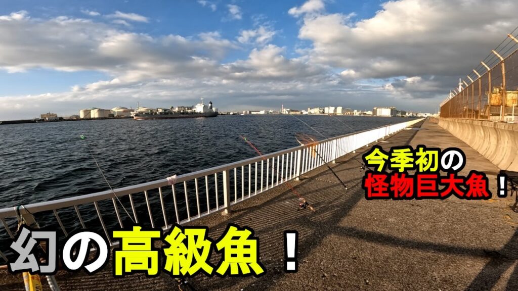 【千葉県某所】真冬の東京湾奥で幻の高級魚が！？海釣りオフシーズン期間の厳寒期に、関東地方の東京湾北部辺りの地域にある釣り場で、とあるターゲットを狙って数日間釣りしてみたら…！【2025年上旬〜中旬】