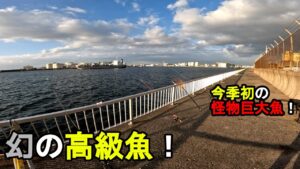 【千葉県某所】真冬の東京湾奥で幻の高級魚が!?海釣りオフシーズン期間の厳寒期に、関東地方の東京湾北部辺りの地域にある釣り場で、とあるターゲットを狙って数日間釣りしてみたら…!【2025年上旬〜中旬】