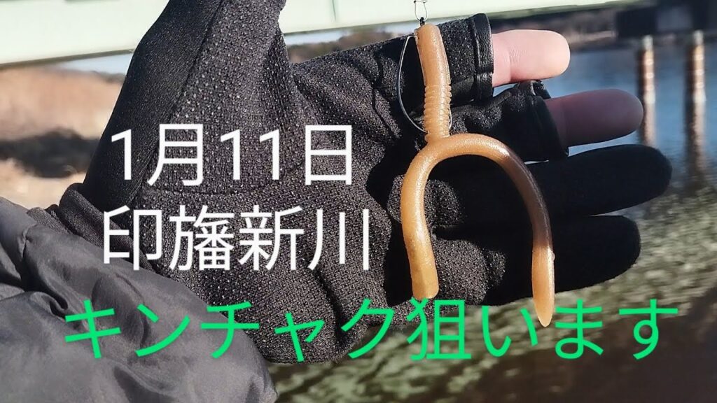 印旛沼水系　印旛新川バス釣り？2025.1.11