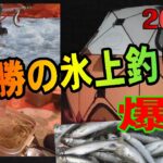 2025.1.14　★爆釣★【浦幌十勝川の氷上釣りDAY2】 （氷上ワカサギ釣り場：#糠平湖・#阿寒湖・#網走湖・#置戸湖・#チミケップ湖・#金山湖・＃トイトッキ沼）