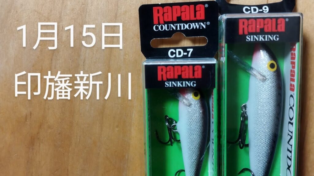 印旛沼水系　印旛新川バス釣り？　ラパラ　カウントダウン2025.1.15