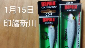 印旛沼水系 印旛新川バス釣り? ラパラ カウントダウン2025.1.15
