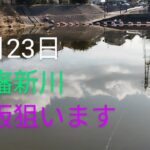 印旛沼水系　印旛新川バス釣り？2025.1.23
