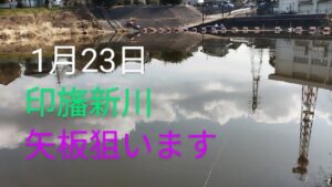 印旛沼水系　印旛新川バス釣り？2025.1.23