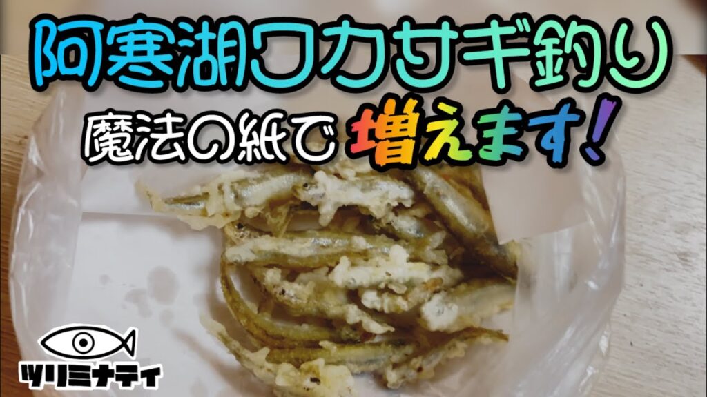 北海道阿寒湖レンタルワカサギ釣り！ワカサギが増えました！2025.1.26