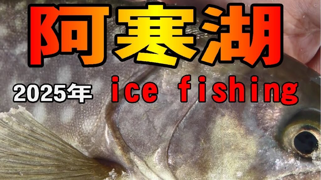 2025.1.29　【阿寒湖の氷上釣りDAY2】　マス釣り & ワカサギ釣り & デイキャンプ　プライベート釣行編　ワカサギ釣りメジャーエリア：糠平湖・金山湖・網走湖・朱鞠内湖