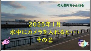 【浜名湖釣り】海釣り公園　水中映像　2025年1月その②