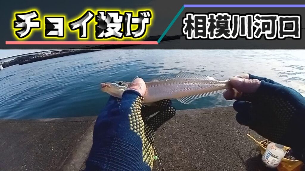 相模川河口でちょい投げ【2025年1月末】