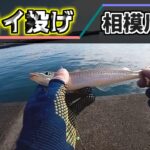 相模川河口でちょい投げ【2025年1月末】