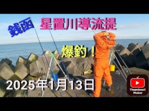 銭函！星置川導流提！爆釣！　2025年1月13日
