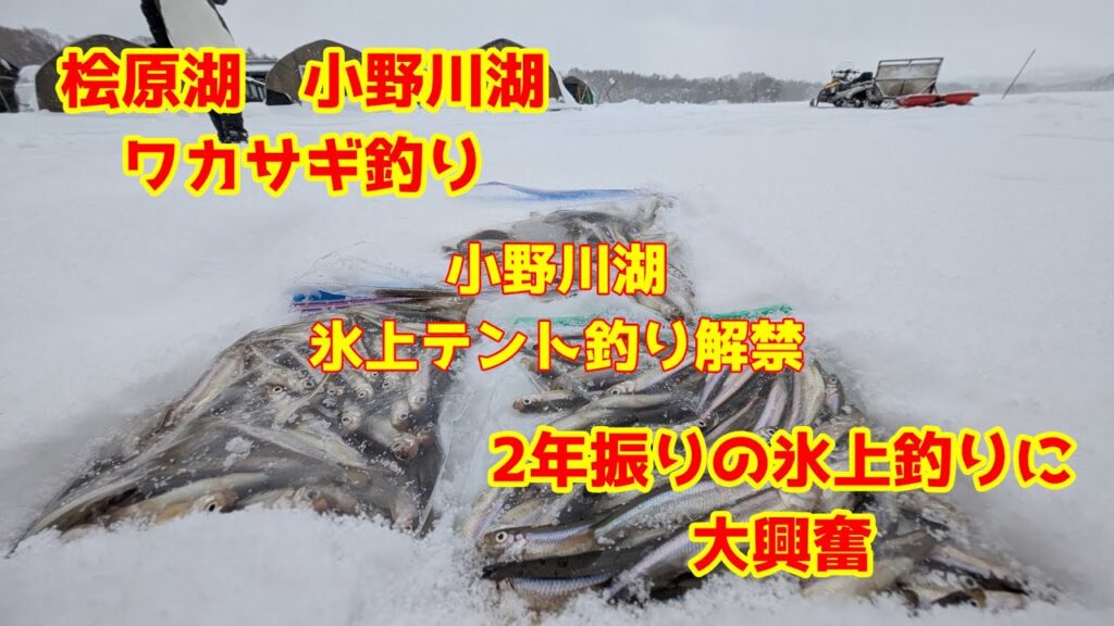 2025年1月18日　小野川湖　氷上テントでワカサギ釣り　お宝ポイントを探せる醍醐味　それが氷上釣行