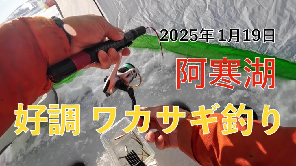 2025年1月19日　阿寒湖　好調　ワカサギ釣り